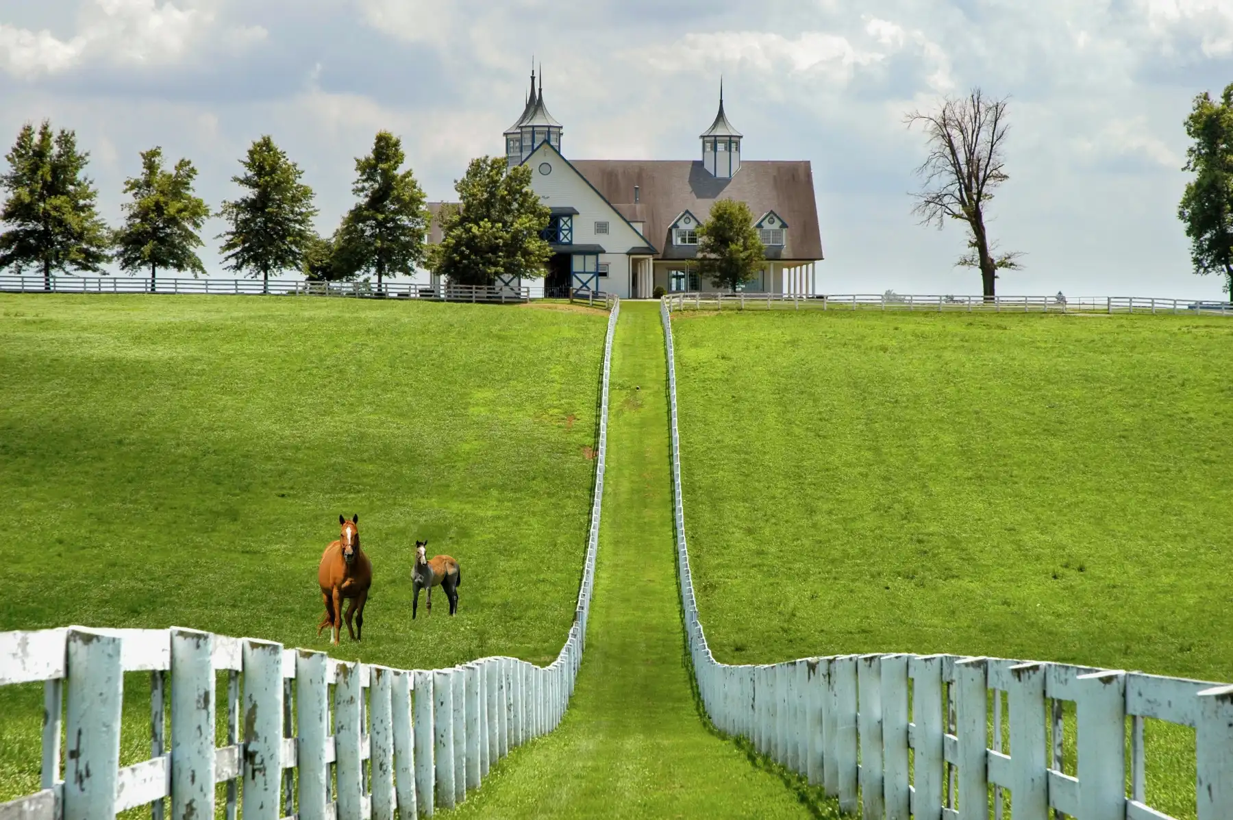 LEXINGTON KY home sellers