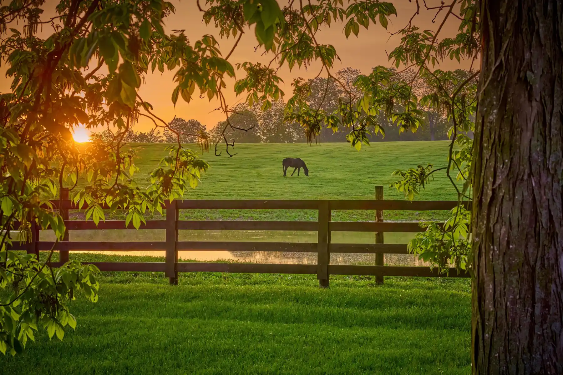 Paris, Kentucky Real Estate2